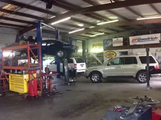 Professional Auto Mechanic