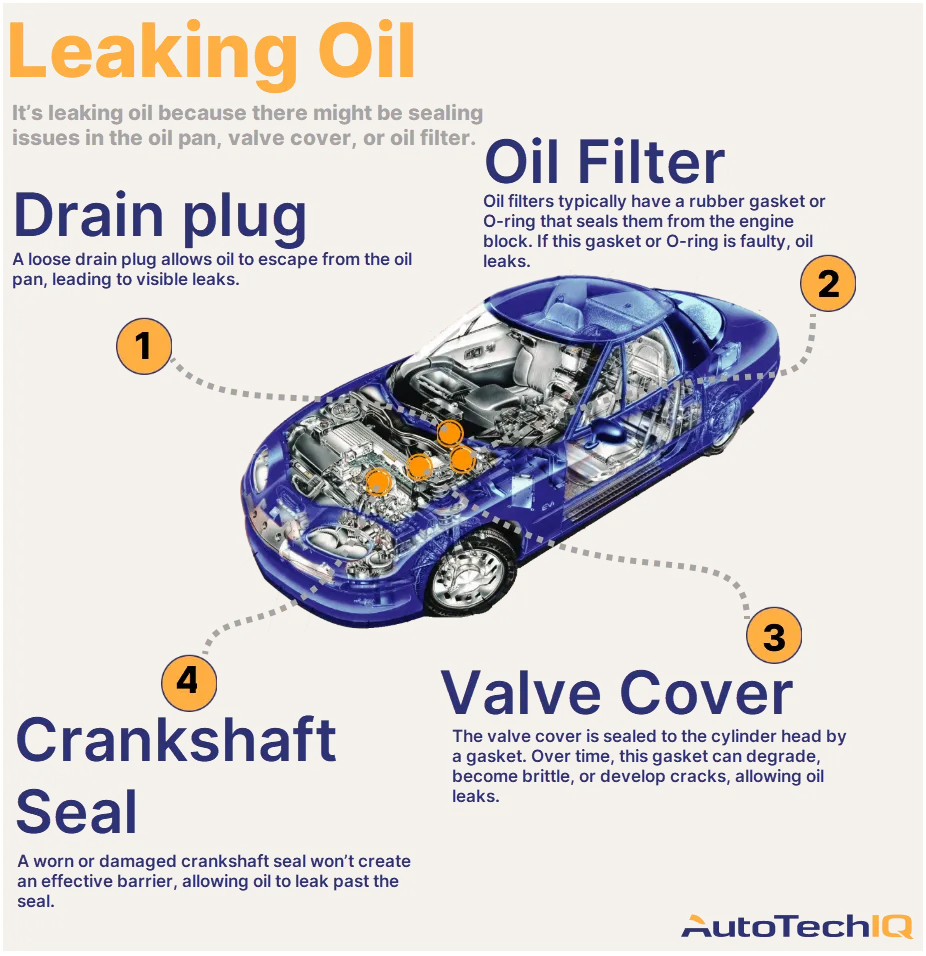 Four common causes for a vehicle Leaking Oil and their related parts.