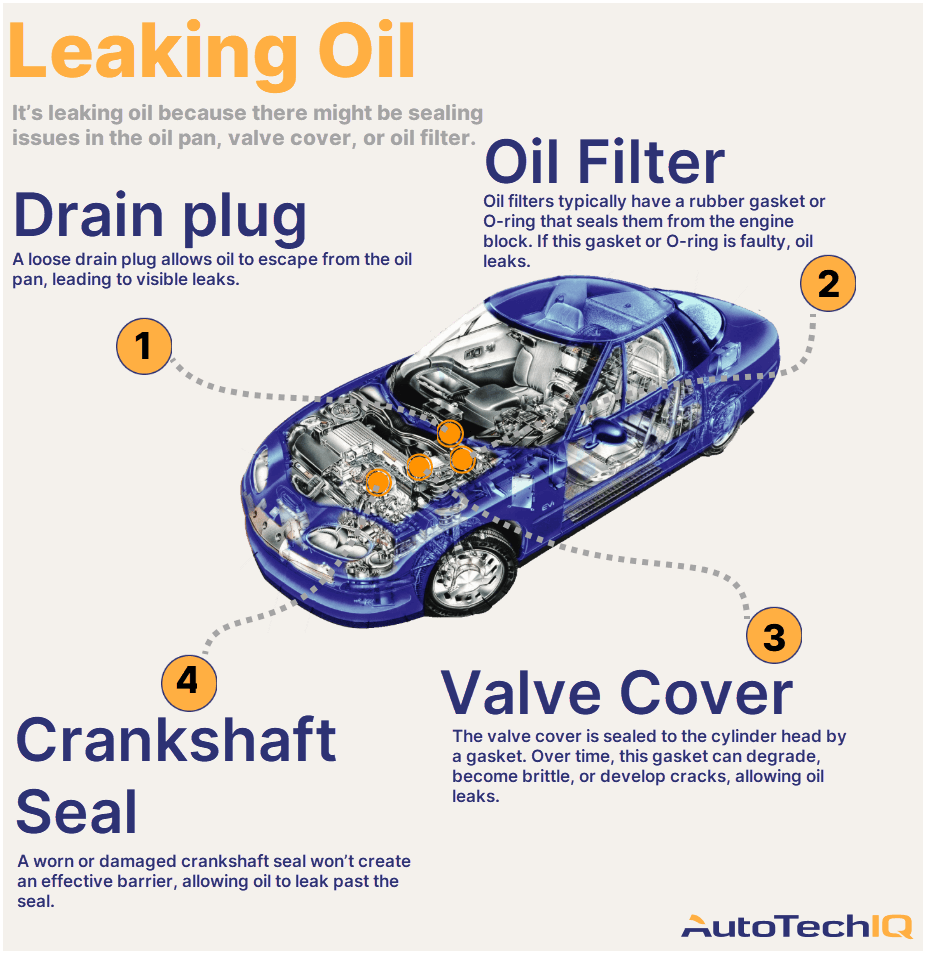 Four common causes for a vehicle Leaking Oil and their related parts.
