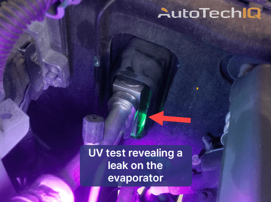UV dye test confirming a refrigerant leak from the AC evaporator