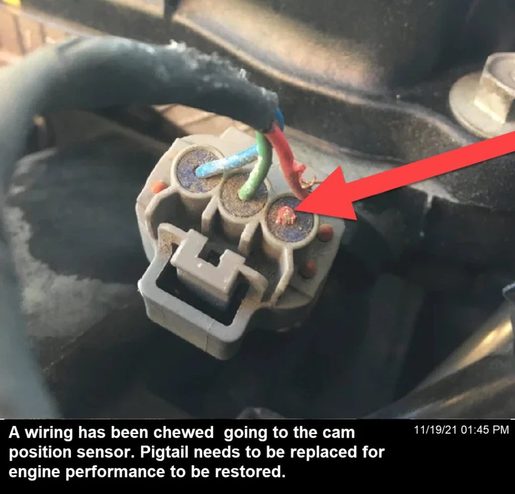 Sensor wiring damage