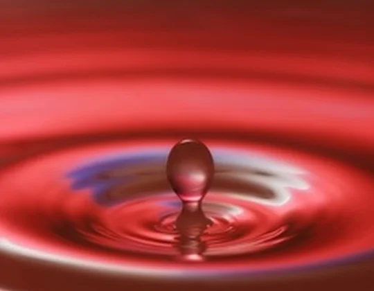 Hey, Why is There Red Fluid Leaking from My Car?