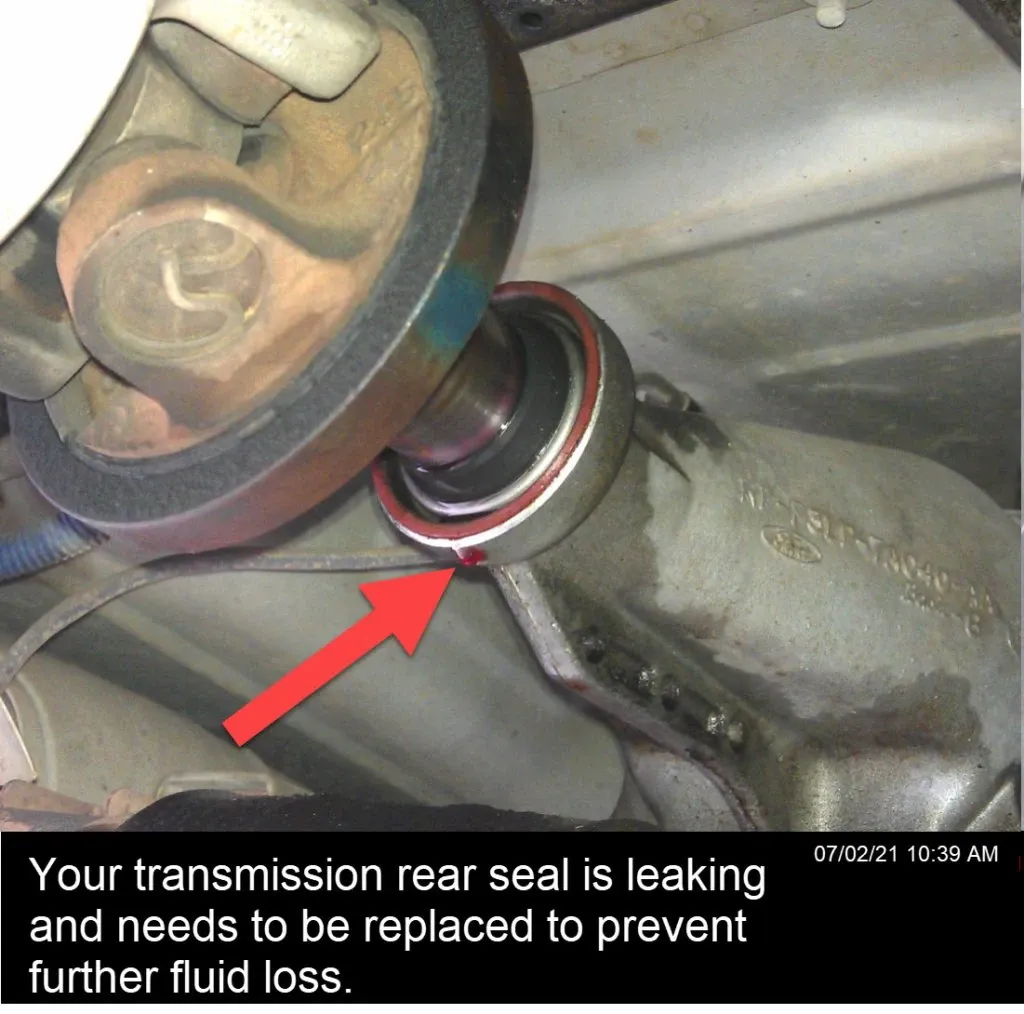 Transmission rear seal dripping