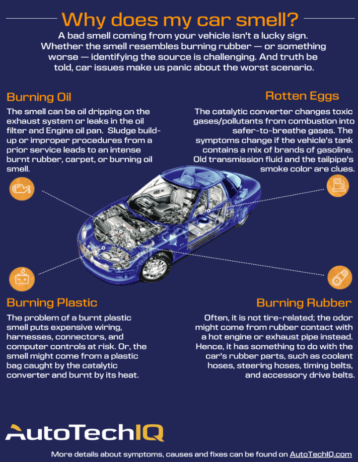 Why Does My Car Smell   Info Graphic