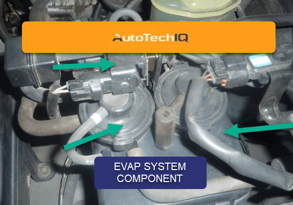 Evap System Components