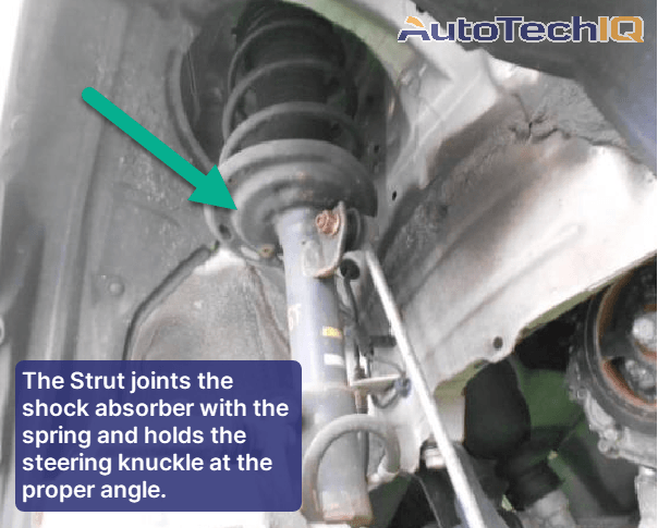 Image of a strut connecting the shock absorber with the spring, which holds the steering knucle