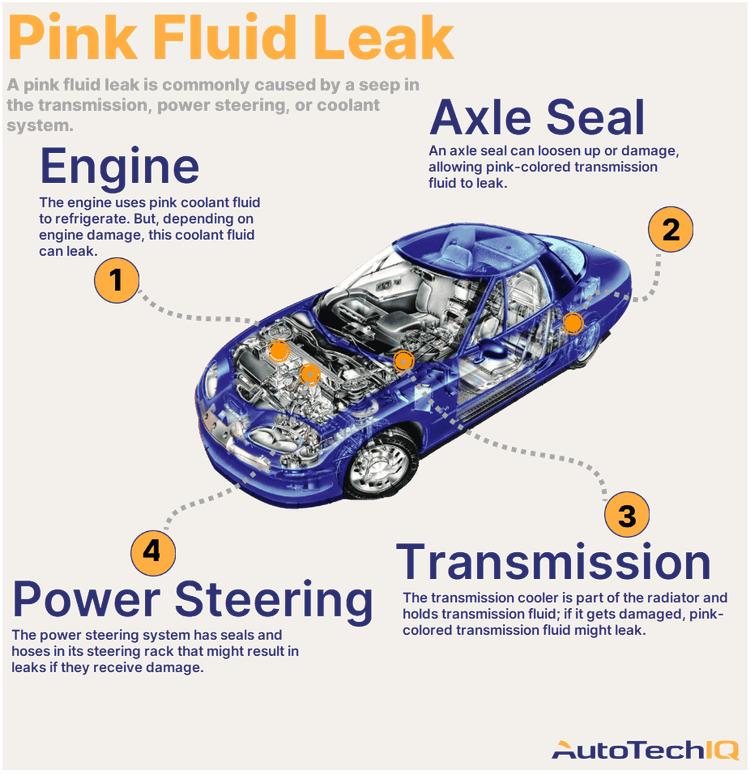 Four common causes for a pink fluid leaking from the vehicle and their related parts.