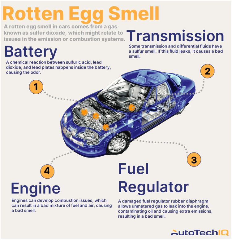 Four common causes for a rotten egg smell from the vehicle and their related parts.