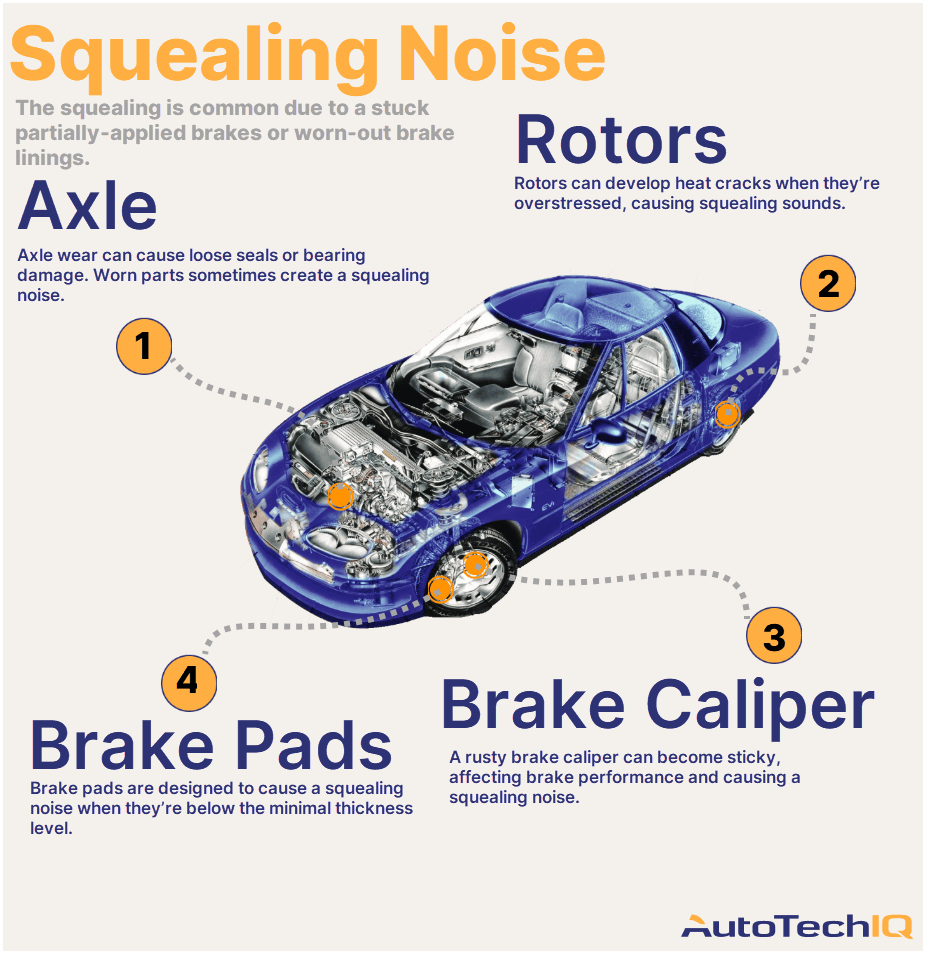 Four common causes for a squealing noise from the vehicle and their related parts.