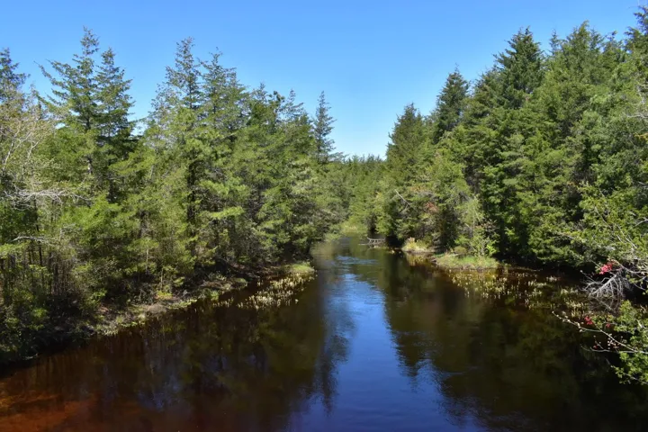 Double Trouble State Park