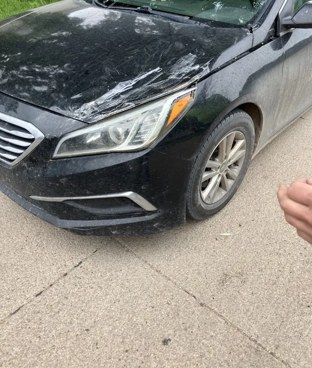 Wayne's Northeast Body & Paint Shoppe