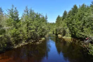 Double Trouble State Park