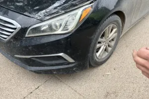 Wayne's Northeast Body & Paint Shoppe