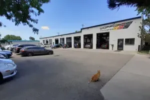 Wofford's European Car - AUDI - BMW - MINI - VW Service Specialists